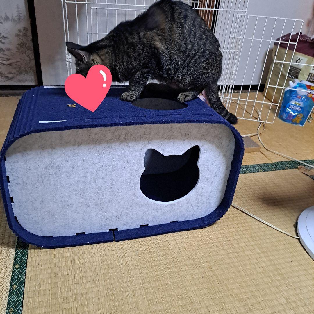 猫 ゲージ トイレ付き