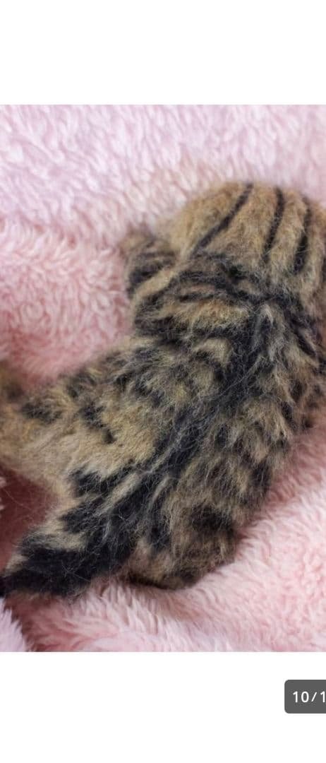 羊毛フェルトおねんね キジトラ子猫 約15cmお値下中