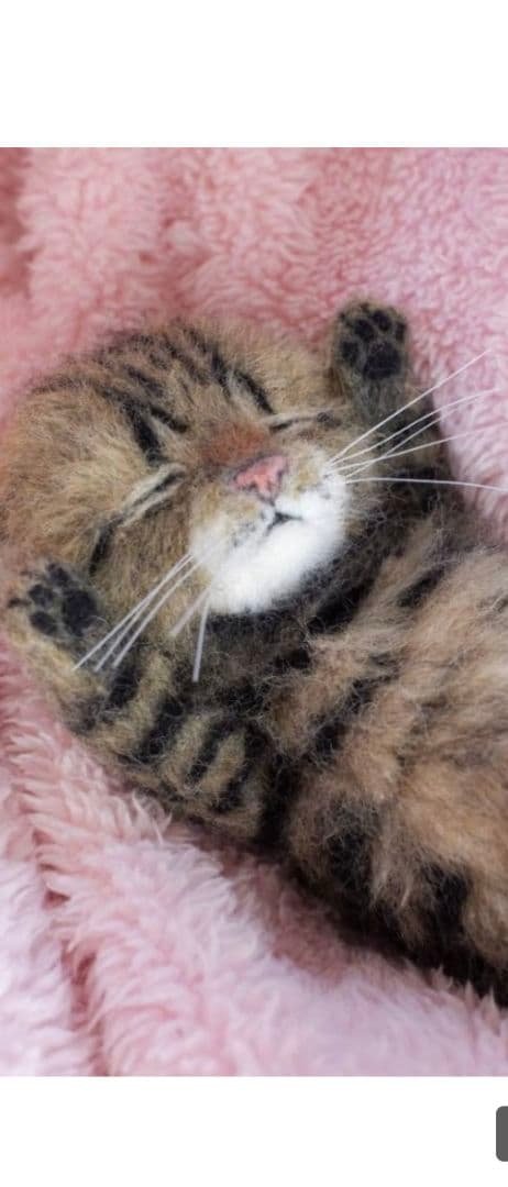 羊毛フェルトおねんね キジトラ子猫 約15cmお値下中