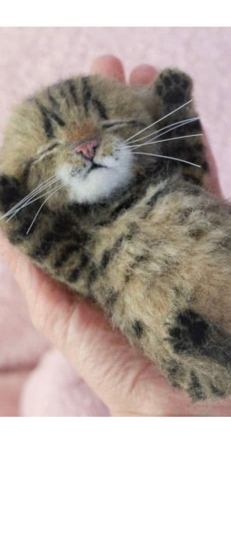 羊毛フェルトおねんね キジトラ子猫 約15cmお値下中