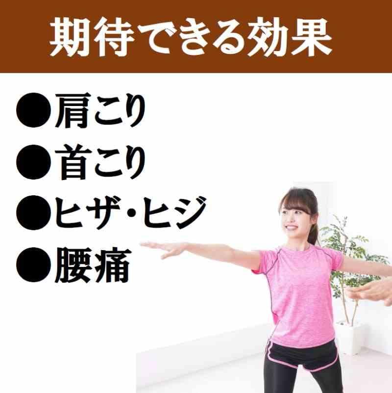 お風呂用　ゲルマニウム粒　300個　肩こり　プチシルマ　エレキバン　入浴剤
