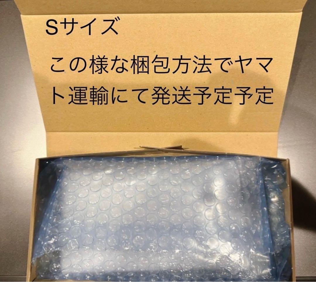 PSA10ナンジャモのハラバリーex #114 5902