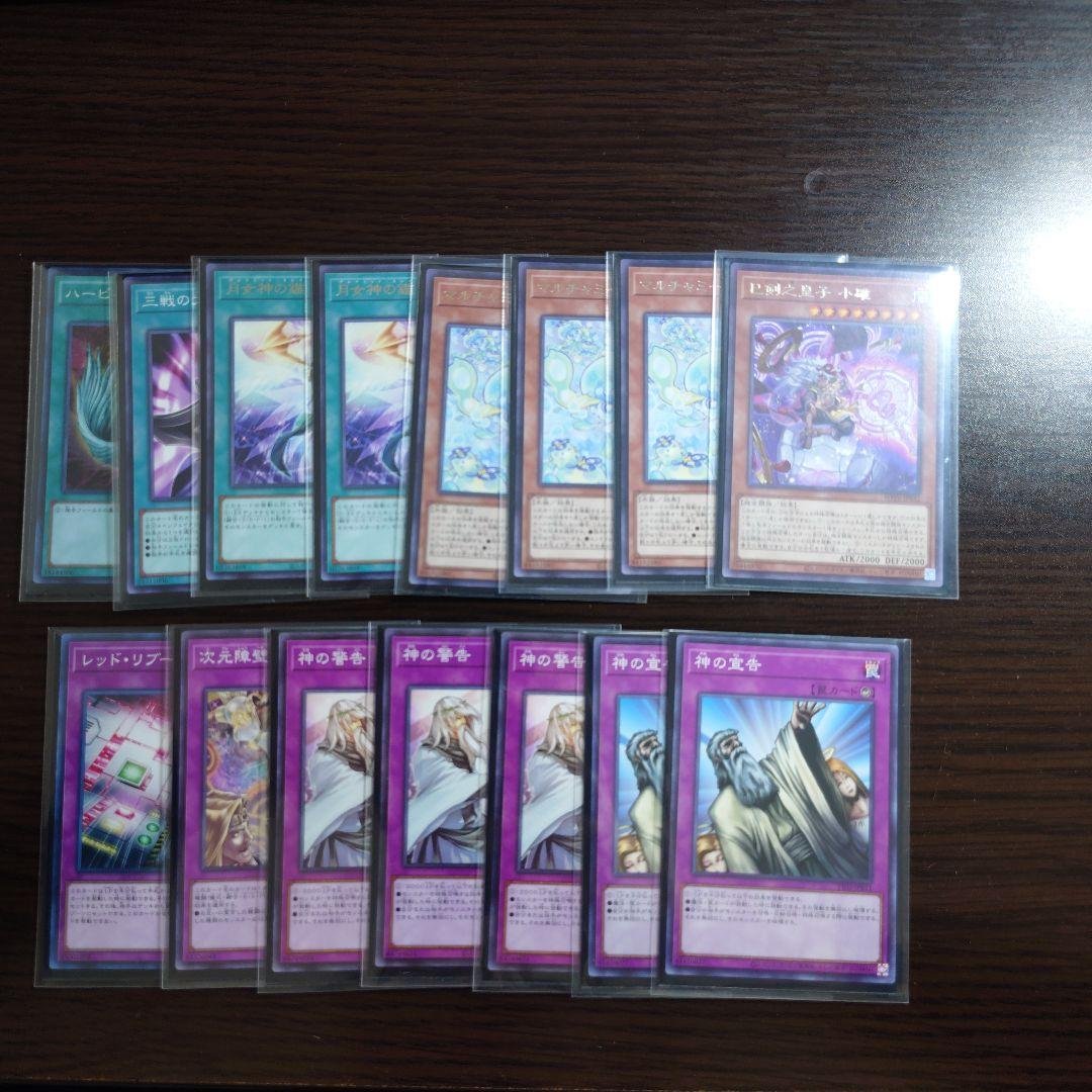 遊戯王【巳剣ライゼオル】デッキ スリーブ＆サイドデッキ付　A