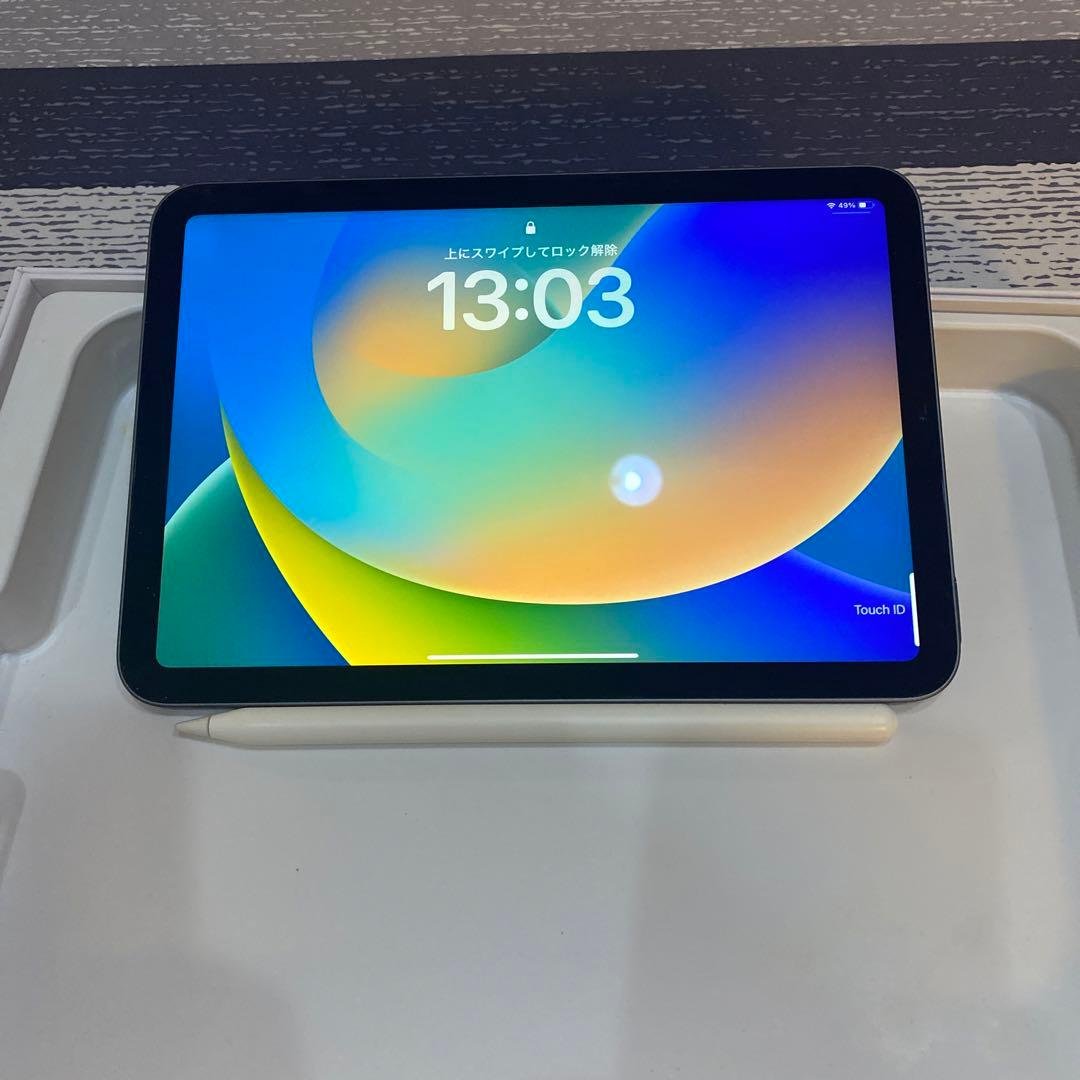iPad mini (第6世代) 64GB アップルペンセット