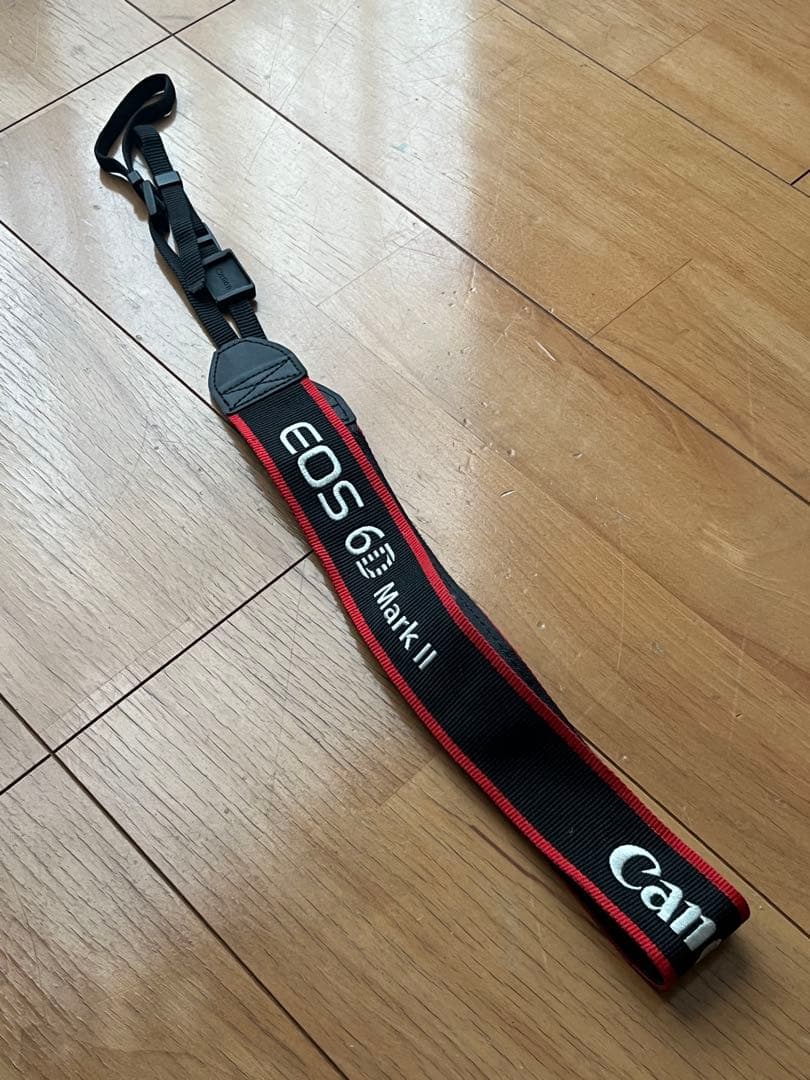 Canon eos 6D mark II （おまけ付き）