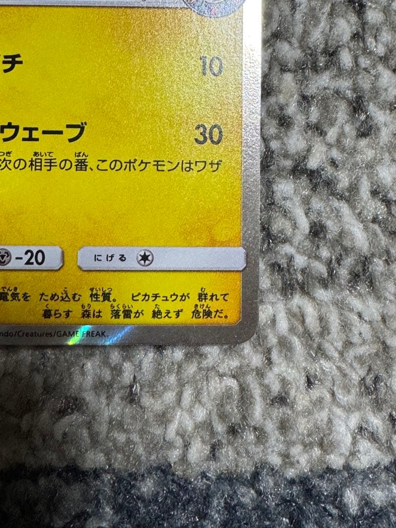 海で遊ぶピカチュウ