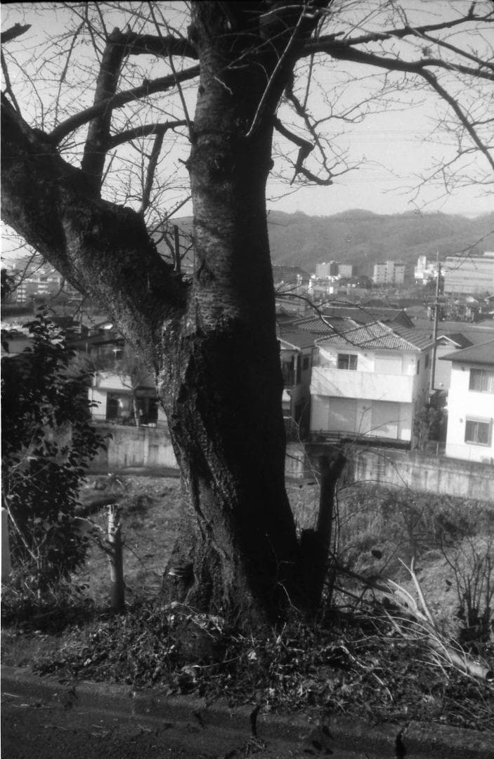 試写済：MINOLTA ミノルタHI-MATIC SD