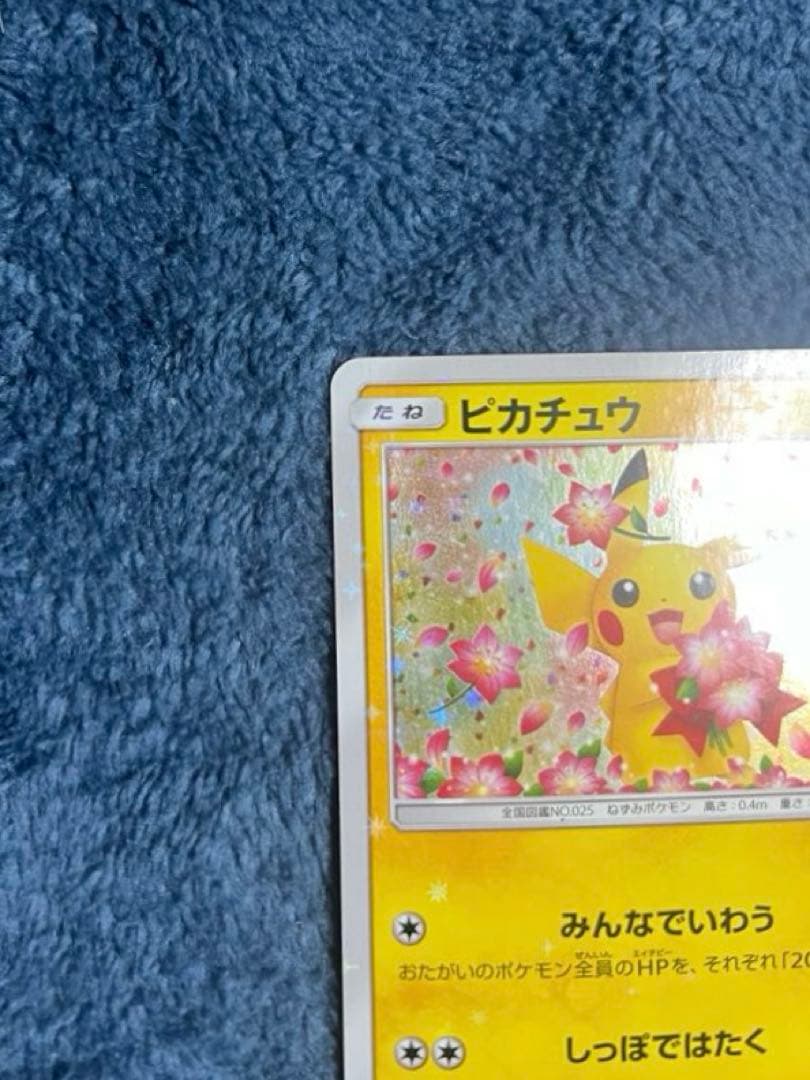 ピカチュウ 224/SM-P 24時間以内発送 引退品