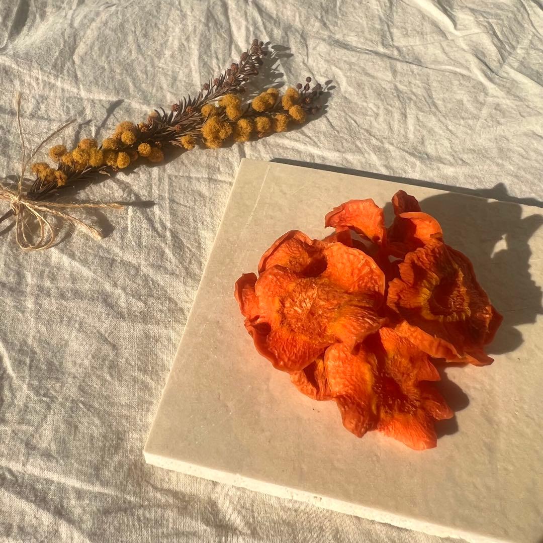 犬用無添加手作りドライ野菜