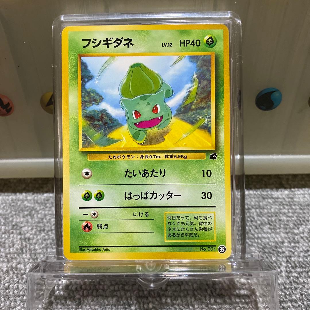 ポケカ　旧裏　イントロパック　フシギダネマーク入り8枚セット
