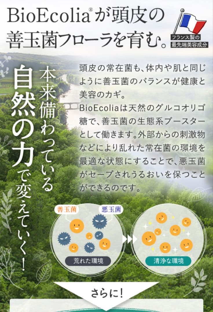 すっぴん地肌 NATURAL SCALP SHAMPOO 250ml　3本セット