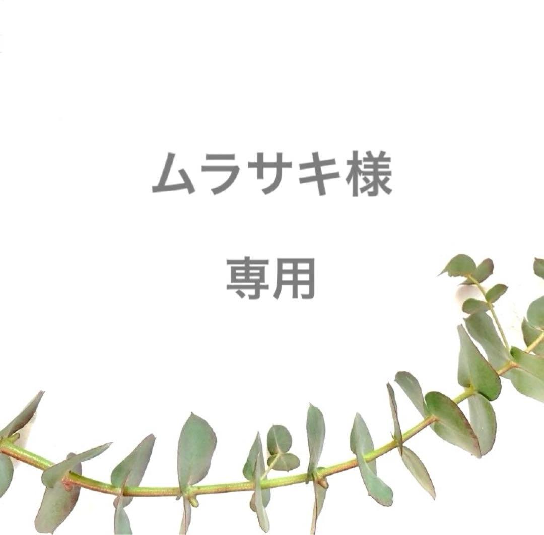 【211】ムラサキ　オーダー品2点